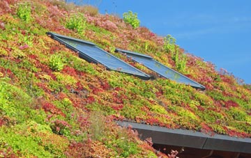 Cwmorgan living roof systems